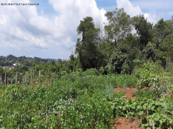 Imagem Terreno à Venda, 360 m² em Piá - Nova Petrópolis Imagem Terreno à Venda, 360 m² em Piá - Nova Petrópolis