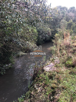 Imagem Terreno à Venda, 20.000 m² em área Rural De Caxias Do Sul - Caxias Do Sul