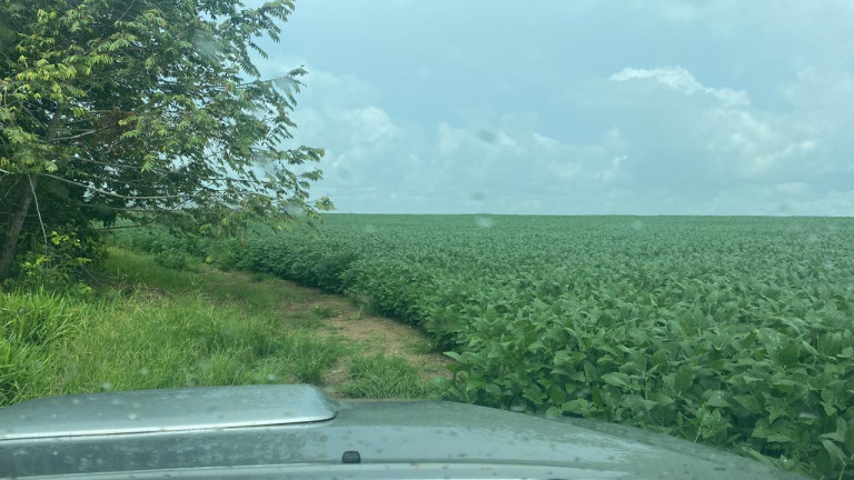 Imagem Fazenda à Venda, 963 m² em Rural - Rosário Oeste Imagem Fazenda à Venda, 963 m² em Rural - Rosário Oeste