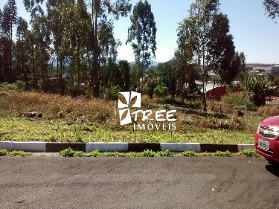Terreno à Venda, 250 m² em Cond Terras De Aruja - Aruja