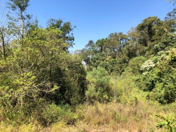 Imagem Terreno à Venda, 5.017 m² em Chácara Das Candeias - Carapicuíba Imagem Terreno à Venda, 5.017 m² em Chácara Das Candeias - Carapicuíba