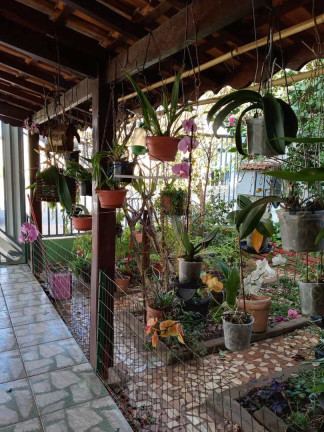 Imagem Casa com 4 Quartos à Venda,  em Centro - Pirassununga