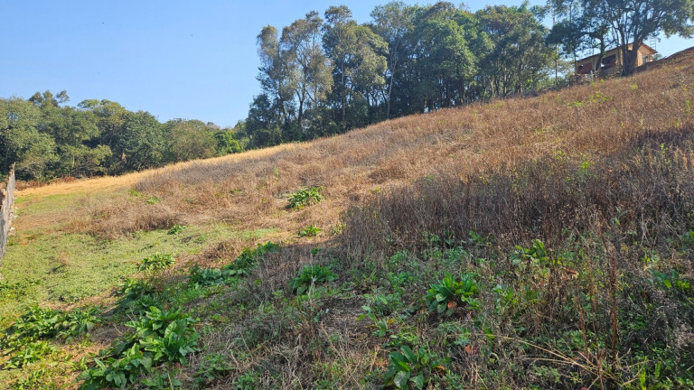 Imagem Fazenda à Venda, em Zona Rural - Araucaria Imagem Fazenda à Venda, em Zona Rural - Araucaria