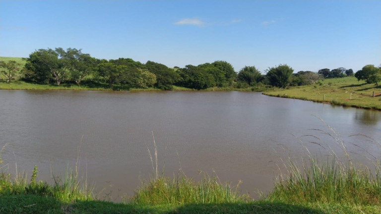 Imagem Fazenda à Venda, 278 m² em Rural - São Manuel Imagem Fazenda à Venda, 278 m² em Rural - São Manuel