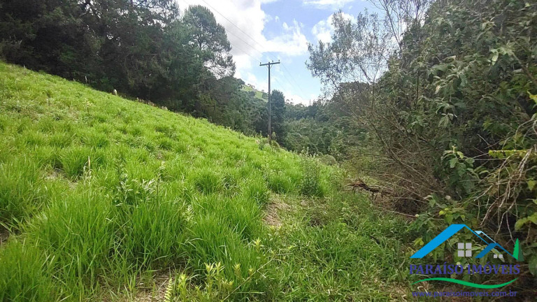 Imagem Chácara à Venda, 20 m² em Centro - Camanducaia Imagem Chácara à Venda, 20 m² em Centro - Camanducaia