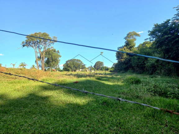 Imagem Fazenda à Venda, 65.340 m² em Bonfim - Pirassununga