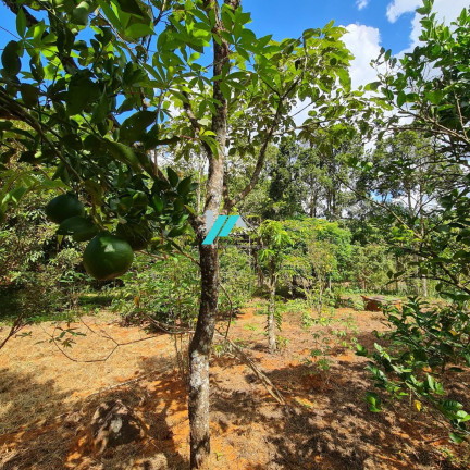 Imagem Fazenda à Venda, 200 m² em Pedras - Itatiaiuçu Imagem Fazenda à Venda, 200 m² em Pedras - Itatiaiuçu