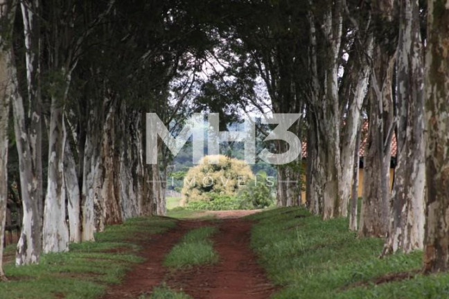 Imagem Imóvel com 20 Quartos à Venda, 1.150 m² em área Rural De Santo Antônio De Posse - Santo Antônio De Posse Imagem Imóvel com 20 Quartos à Venda, 1.150 m² em área Rural De Santo Antônio De Posse - Santo Antônio De Posse