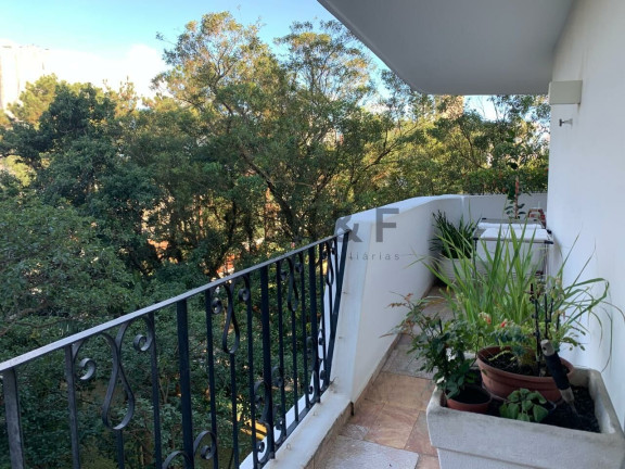 Imagem Apartamento com 4 Quartos à Venda, 208 m² em Granja Julieta - São Paulo Imagem Apartamento com 4 Quartos à Venda, 208 m² em Granja Julieta - São Paulo