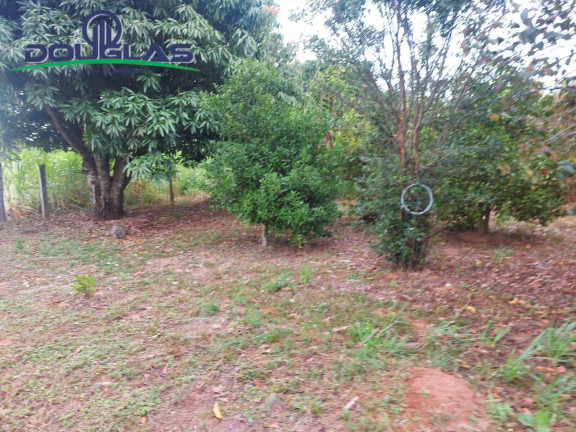 Imagem Chácara à Venda, 20.000 m² em Viamão Imagem Chácara à Venda, 20.000 m² em Viamão