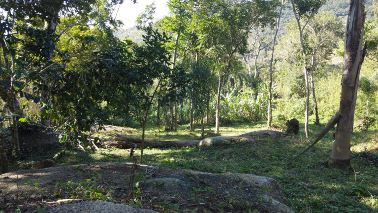 Imagem Terreno à Venda, 20.000 m² em Macacu - Garopaba Imagem Terreno à Venda, 20.000 m² em Macacu - Garopaba