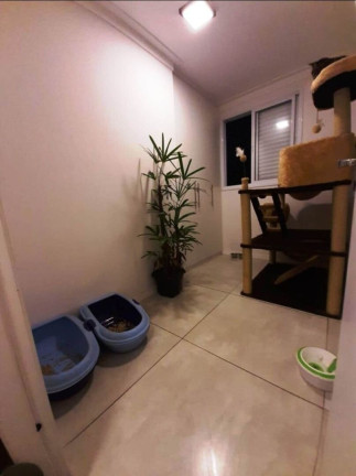 Imagem Apartamento com 2 Quartos à Venda, 55 m² em Vila Matilde - São Paulo