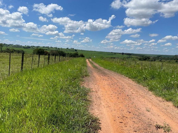 Imagem Imóvel à Venda, 25 m² em área Rural De São José Do Rio Preto - São José Do Rio Preto Imagem Imóvel à Venda, 25 m² em área Rural De São José Do Rio Preto - São José Do Rio Preto
