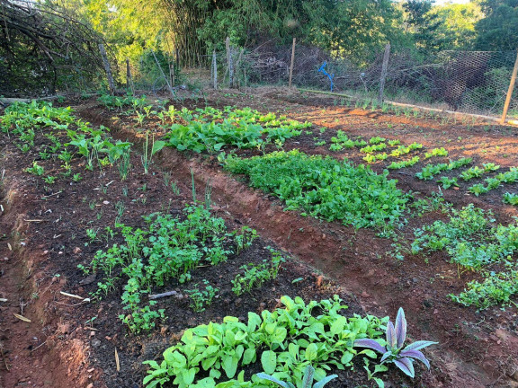 Imagem Chácara com 4 Quartos à Venda, 8 m² em Abadiânia