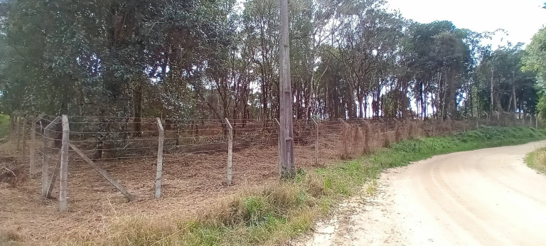 Imagem Chácara com 1 Quarto à Venda, 1 m² em Morro Do Cal - Campo Largo