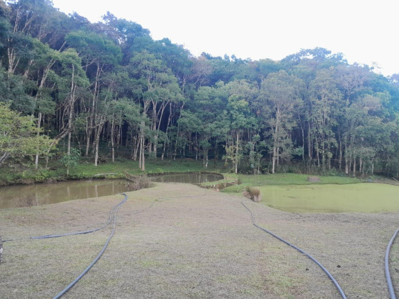 Imagem Imóvel com 3 Quartos à Venda, 72.000 m² em Centro - Tunas Do Parana