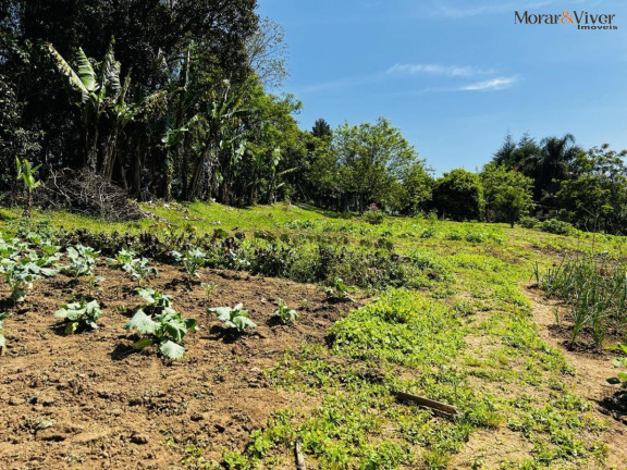 Imagem Chácara à Venda, 6.300 m² em Zona Rural - Tijucas Do Sul Imagem Chácara à Venda, 6.300 m² em Zona Rural - Tijucas Do Sul