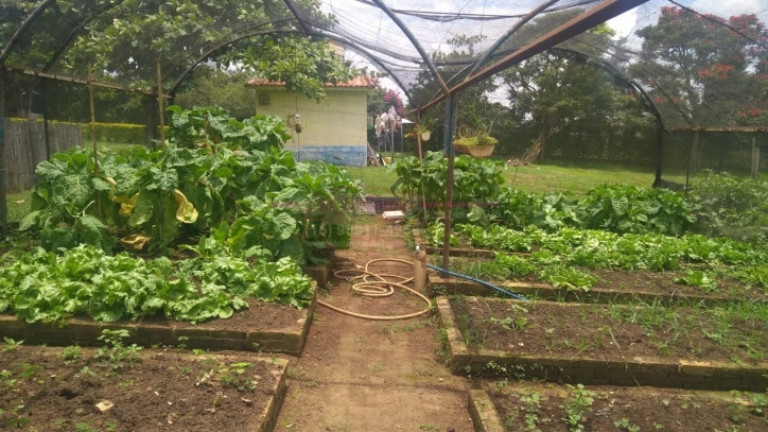 Imagem Chácara com 3 Quartos à Venda, 300 m² em Zona Rural - Boituva Imagem Chácara com 3 Quartos à Venda, 300 m² em Zona Rural - Boituva