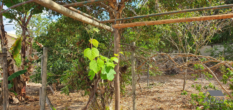 Imagem Imóvel com 3 Quartos à Venda,  em Tropeiros - Esmeraldas