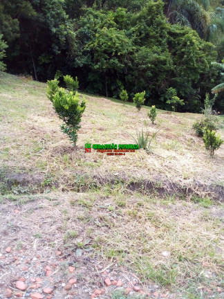 Imagem Chácara à Venda, 20.000 m² em São Silvestre (são Silvestre) - Jacareí Imagem Chácara à Venda, 20.000 m² em São Silvestre (são Silvestre) - Jacareí