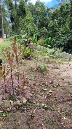 Terreno à Venda,  em Itamambuca - Ubatuba