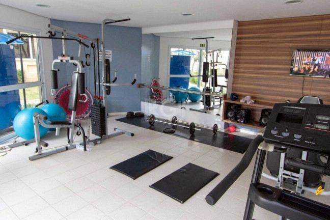 Imagem Apartamento com 3 Quartos à Venda, 61 m² em Cristal - Porto Alegre