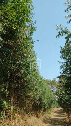 Imóvel à Venda, 24 m² em Pocinhos Do Rio Verde (rural) - Caldas