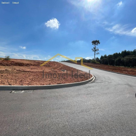Imagem Terreno à Venda, 230 m² em Costeira - Araucária