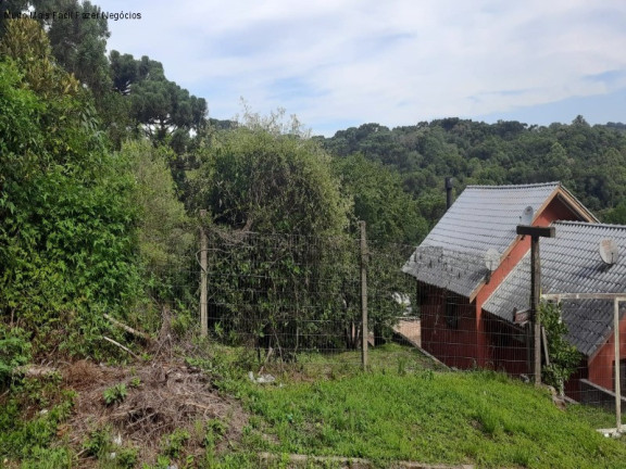 Imagem Terreno à Venda, 412 m² em Ackermann - Nova Petrópolis