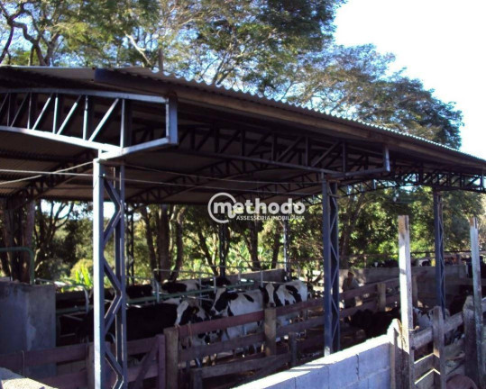 Imagem Fazenda à Venda, 11 m² em Jardim São Benedito - Alpinópolis Imagem Fazenda à Venda, 11 m² em Jardim São Benedito - Alpinópolis