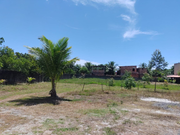 Imagem Terreno à Venda, 504 m² em Vera Cruz Imagem Terreno à Venda, 504 m² em Vera Cruz