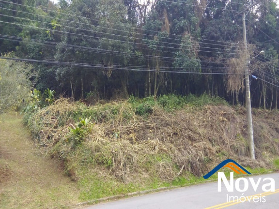 Imagem Imóvel à Venda, 698 m² em Vila Olinda - Nova Petrópolis Imagem Imóvel à Venda, 698 m² em Vila Olinda - Nova Petrópolis