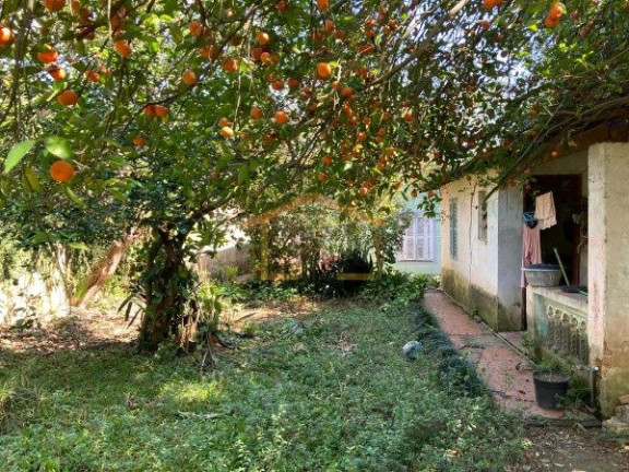 Imagem Casa com 3 Quartos à Venda, 500 m² em Tremembé - São Paulo Imagem Casa com 3 Quartos à Venda, 500 m² em Tremembé - São Paulo