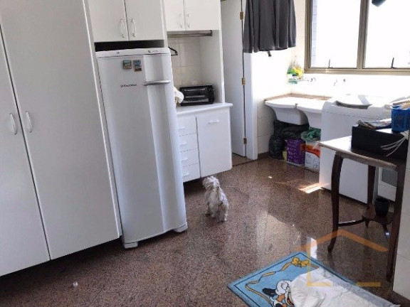 Imagem Apartamento com 4 Quartos à Venda,  em Santana - São Paulo