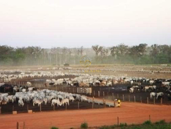 Imagem Imóvel com 3 Quartos à Venda, 11.829 m² em Zona Rural - Jussara
