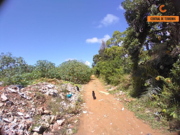 Imagem Terreno à Venda, 29.340 m² em Mussurunga - Salvador Imagem Terreno à Venda, 29.340 m² em Mussurunga - Salvador