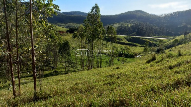 Imagem Imóvel com 2 Quartos à Venda, 266.000 m² em Branco - Lavrinhas
