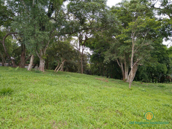 Imagem Terreno em Condomínio à Venda, 5.000 m² em Granja Viana - Carapicuíba Imagem Terreno em Condomínio à Venda, 5.000 m² em Granja Viana - Carapicuíba
