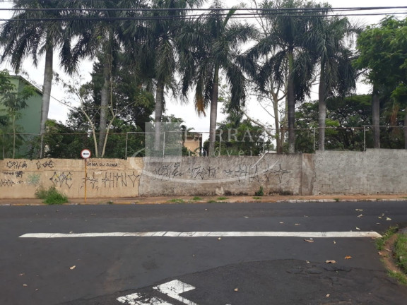 Imagem Imóvel com 2 Quartos à Venda, 84 m² em Sumarezinho - Ribeirão Preto Imagem Imóvel com 2 Quartos à Venda, 84 m² em Sumarezinho - Ribeirão Preto