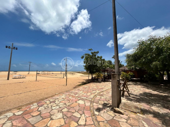 Imagem Terreno à Venda, 2.400 m² em Praia Da Xepa - São Miguel Do Gostoso Imagem Terreno à Venda, 2.400 m² em Praia Da Xepa - São Miguel Do Gostoso