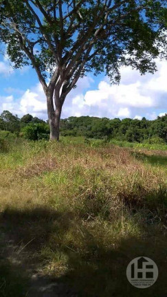 Imagem Chácara com 3 Quartos à Venda, 88.699 m² em Aldeia - Camaragibe