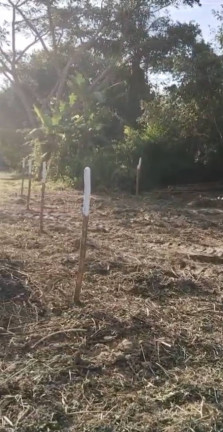 Imagem Terreno em Condomínio à Venda, 700 m² em Aldeia Dos Camarás - Camaragibe Imagem Terreno em Condomínio à Venda, 700 m² em Aldeia Dos Camarás - Camaragibe