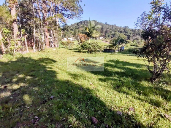 Imagem Imóvel com 5 Quartos à Venda, 5.875 m² em Palmeiras - Juquitiba Imagem Imóvel com 5 Quartos à Venda, 5.875 m² em Palmeiras - Juquitiba