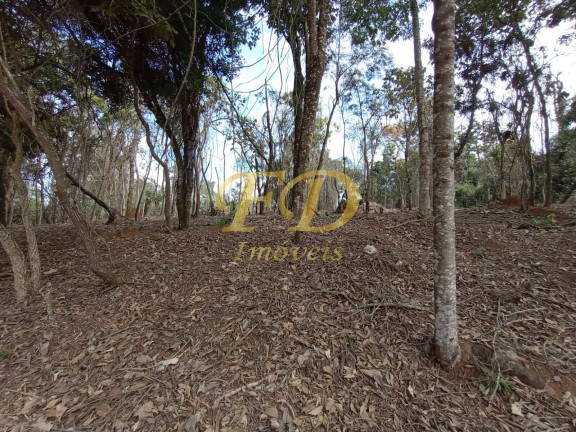 Imagem Terreno à Venda, 2 m² em Chácara Estância Brasil - Atibaia Imagem Terreno à Venda, 2 m² em Chácara Estância Brasil - Atibaia