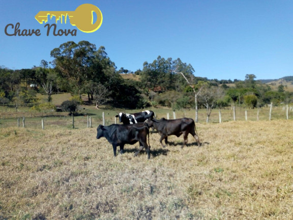 Imagem Chácara com 3 Quartos à Venda, 20 m² em Roseta - Cambuí