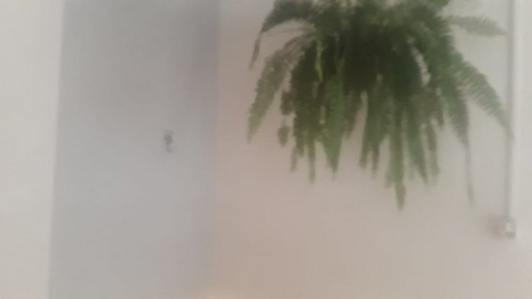 Imagem Casa com 2 Quartos à Venda, 47 m² em Eugênio De Mello - São José Dos Campos Imagem Casa com 2 Quartos à Venda, 47 m² em Eugênio De Mello - São José Dos Campos