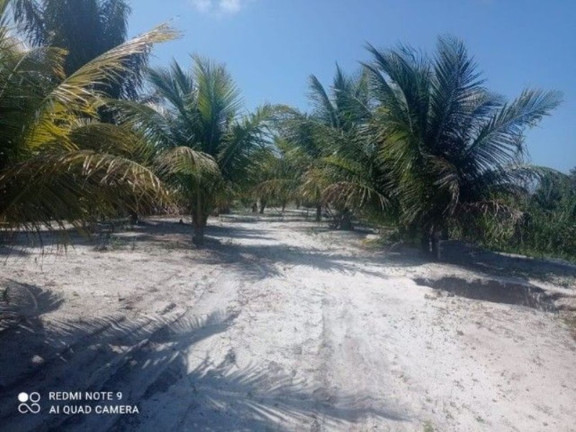Imagem Fazenda à Venda, 400.000 m² em Ilha De Atalaia - Canavieiras Imagem Fazenda à Venda, 400.000 m² em Ilha De Atalaia - Canavieiras