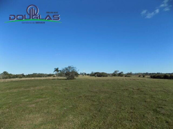 Imagem Chácara à Venda, 8 m² em águas Claras - Viamão Imagem Chácara à Venda, 8 m² em águas Claras - Viamão
