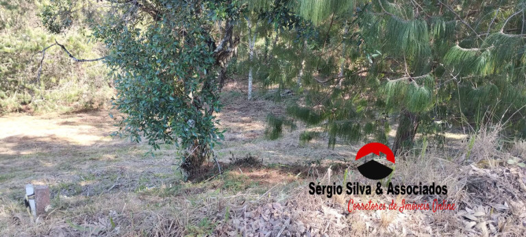 Imagem Terreno à Venda, 1 m² em Campos Do Jordão Imagem Terreno à Venda, 1 m² em Campos Do Jordão
