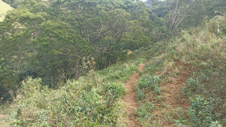 Imagem Chácara com 2 Quartos à Venda, 100 m² em Centro (são Francisco Xavier) - São José Dos Campos